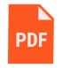 Versione PDF
